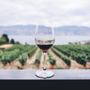 Merlot Private Cellar